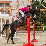 СТАРТОВЫЙ ОПЫТ ДО 130 СМ