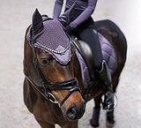 Роскошные ушки Equestrian Stockholm