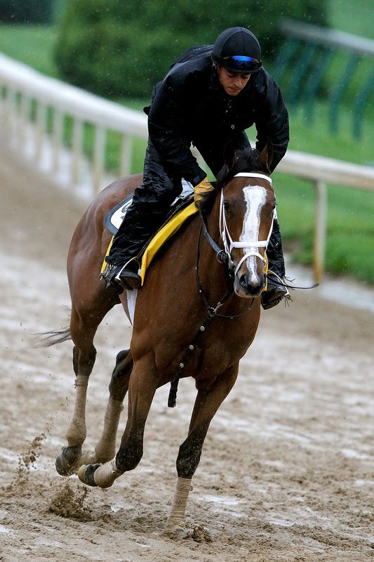 Ипподром Churchill Downs 2010 год, подготовка к первому этапу Тройной Короны - Kentucky Derby.