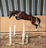 Ахалтекинец, для ценителей!