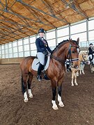 ЮЕ, Мп. Менки 4-3-2-1