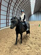 Детская пони