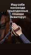 Требуется коновод КСК Эквиторус 