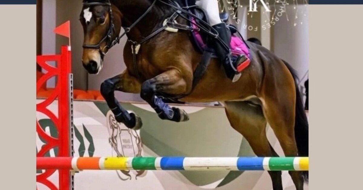 Честность в спорте