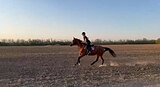 В спорт под любого, матки 