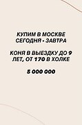 Москвичи, показывайте !