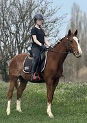 ПОНИ-КЛАСС • МАРШРУТЫ 80