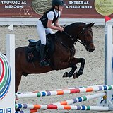 СТАРТОВЫЙ ОПЫТ ДО 110 СМ 