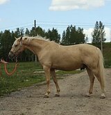 Мер. 2015 гр, 158 вх
