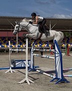 Маршруты 130+ см