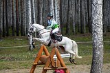 Хороший учитель