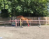 Будущая Чемпионка