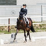 КОБЫЛА 172 СМ В ХОЛКЕ 