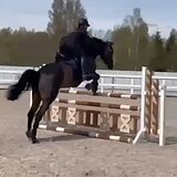 СТАРТОВЫЙ ОПЫТ ДО 110 СМ 