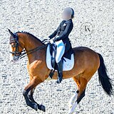 НЕВЕРОЯТНО КРАСИВЫЙ МЕРИН 