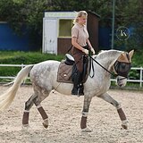 ДРУЖЕЛЮБНЫЙ МЕРИН