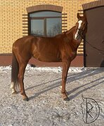 Маршруты 120!