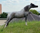 ГРЕЙСИ - КСК Созидатель
