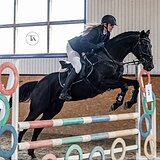 ВОРОНОЙ МЕРИН 6 ЛЕТ