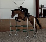 Мерин 2022 гр в спорт 