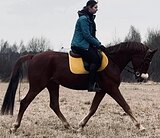 МЕРИН/СРОЧНАЯ ПРОДАЖА 