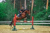 Жеребец 