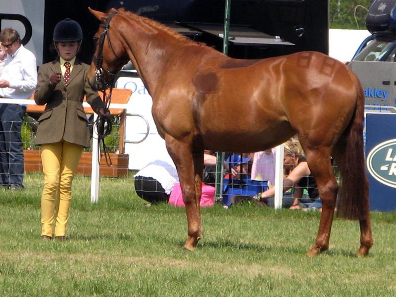 Royal Windsor Horse Show, UK