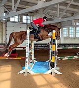 В любую дисциплину