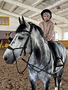 Gelding - 18