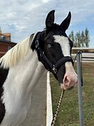 ЦЕНА ЗНАЧИТЕЛЬНО СНИЖЕНА