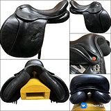 THE SADDLE COMPANY GP VERONA