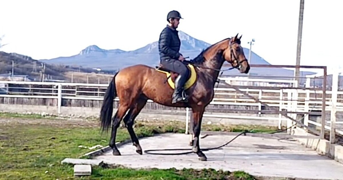 адекватный спокойный. сергей аверин 29 лет. адекватный спокойный. мужчина и женщина мирятся. контроль над своими эмоциями.