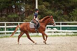 Хороший мер. 2021 гр, 166 вх