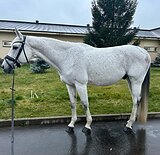 ЭЛЕМЕНТЫ ЮНОШЕСКИХ ЕЗД