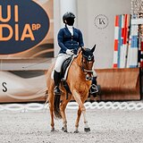 КОБЫЛА 10 ЛЕТ 147 СМ В ХОЛКЕ