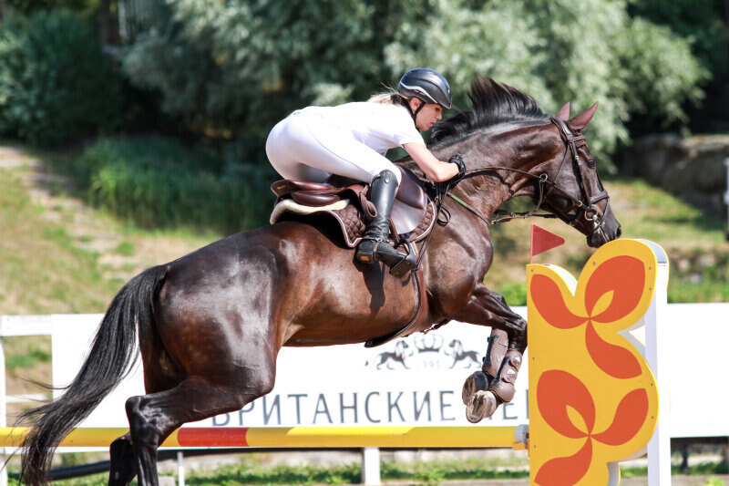 МИГЕЛЬ и Буркова Наталья