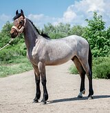 Ну ооочень красивый