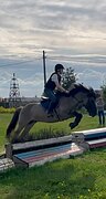 Универсальный пони 143 вх