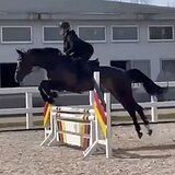 СТАРТОВЫЙ ОПЫТ ДО 110 СМ 