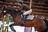 МЕРИН В КОНКУР