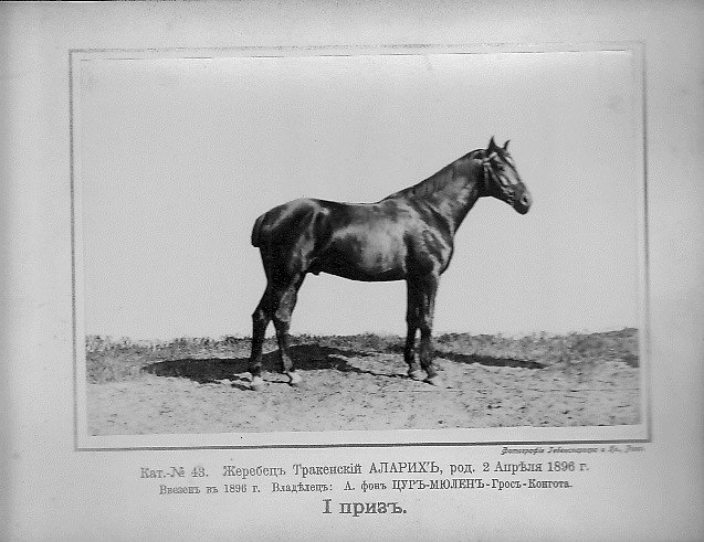 Фотография из альбома IV. Балтийская сельско-хозяйственная центральная выставка в г. Рига 1899 г.  Фото Гебенспергера