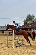 Кобыла