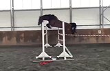 Коб. в спорт или матки 