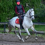 ПРЫГАЕТ СВЯЗКИ ДО 110 СМ