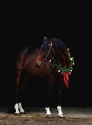 Молодой и перспективный тр