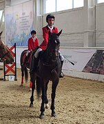 Универсальный мерин