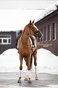 Сильное снижение цены!!!