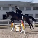 СТАРТОВЫЙ ОПЫТ ДО 110 СМ