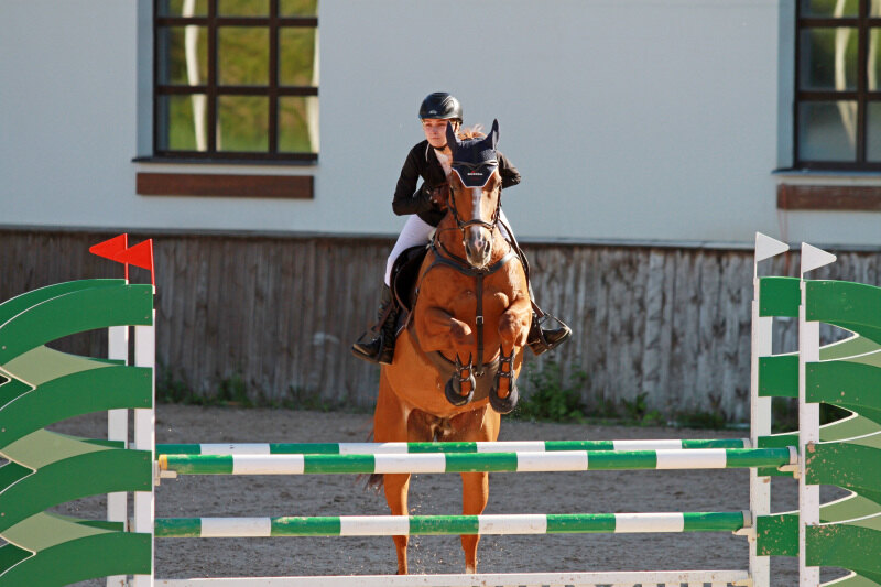 АВСТРИЯ-16 и Громзина Анна