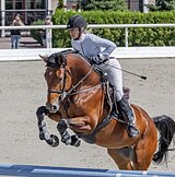 МЕРИН В БОЛЬШОЙ СПОРТ